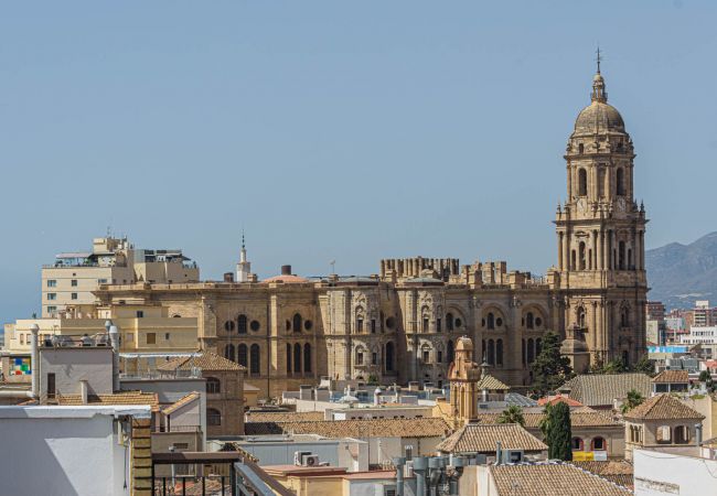 Lägenhet i Málaga - Mercedes - Takvåning i Malaga Lägenhet i Málaga - Mercedes - Takvåning i Malaga