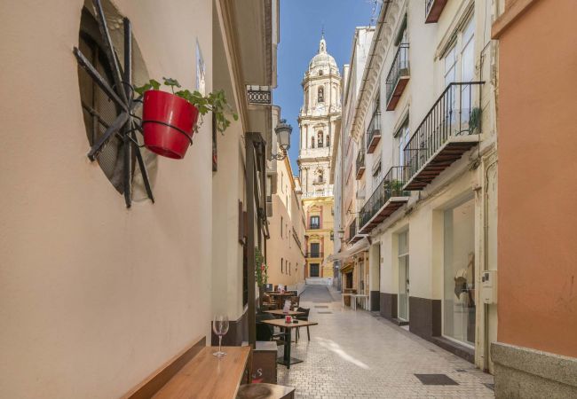 Lägenhet i Málaga - Larios - Semesterlägenhet Malaga centrum Lägenhet i Málaga - Larios - Semesterlägenhet Malaga centrum