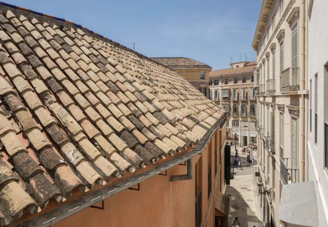 Lägenhet i Málaga - Teresa - Semesterlägenhet i Malaga centrum Lägenhet i Málaga - Teresa - Semesterlägenhet i Malaga centrum