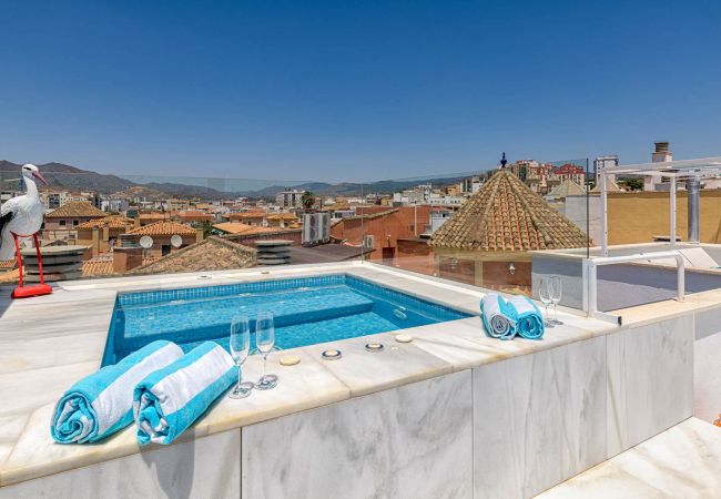 Lägenhet i Málaga - Noemi Centro - Takvåning i Malaga Centrum Lägenhet i Málaga - Noemi Centro - Takvåning i Malaga Centrum