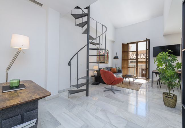 Lägenhet i Málaga - Pozos Dulces - Semesterlägenhet Malaga centrum Lägenhet i Málaga - Pozos Dulces - Semesterlägenhet Malaga centrum