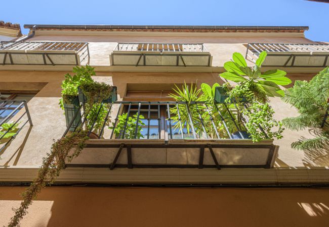 Lägenhet i Málaga - Pozos Dulces - Semesterlägenhet Malaga centrum Lägenhet i Málaga - Pozos Dulces - Semesterlägenhet Malaga centrum